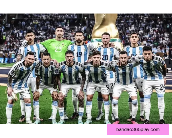 2026世界杯三国联合举办精彩赛事全面解析