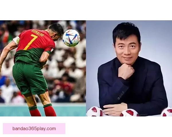 世界杯赛事预测分析全面指南助你精准把握比赛走向